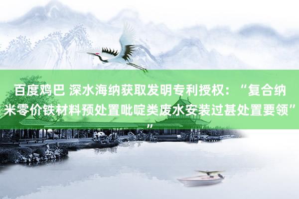 百度鸡巴 深水海纳获取发明专利授权：“复合纳米零价铁材料预处置吡啶类废水安装过甚处置要领”