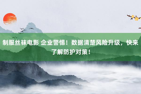制服丝袜电影 企业警惕！数据清楚风险升级，快来了解防护对策！