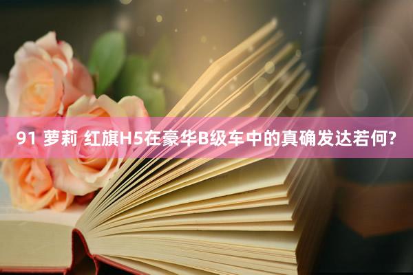 91 萝莉 红旗H5在豪华B级车中的真确发达若何?
