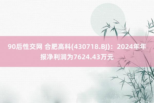 90后性交网 合肥高科(430718.BJ)：2024年年报净利润为7624.43万元