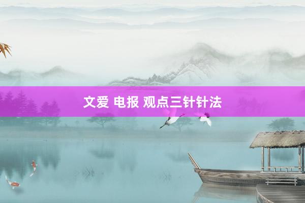 文爱 电报 观点三针针法