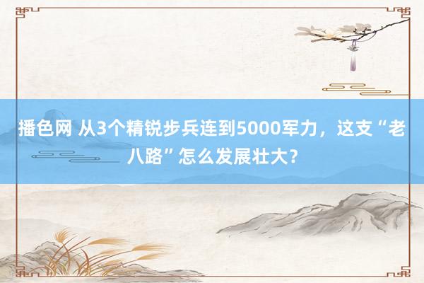 播色网 从3个精锐步兵连到5000军力，这支“老八路”怎么发展壮大？